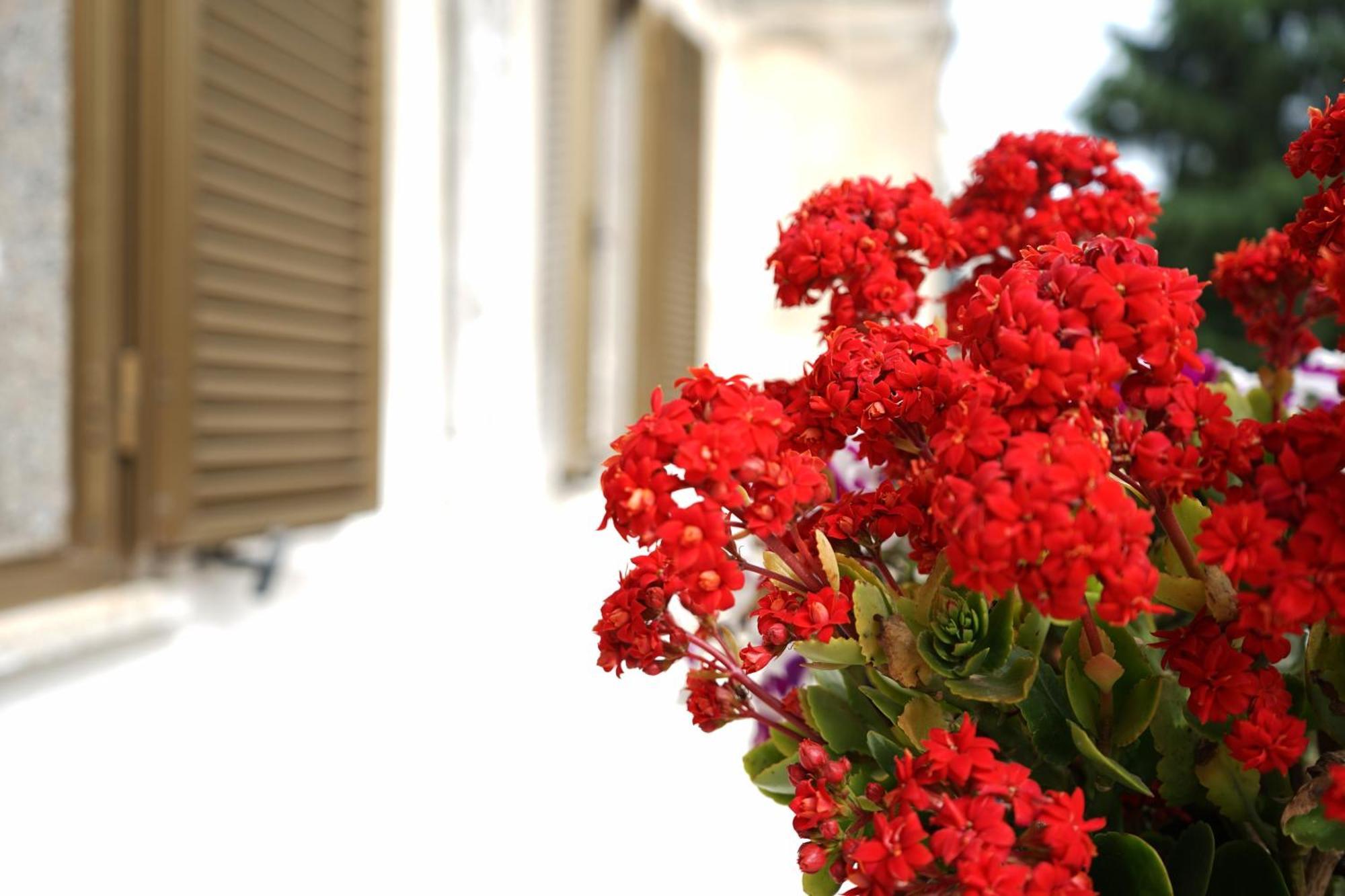 Ferienwohnung Ostuni Dream House Exterior foto
